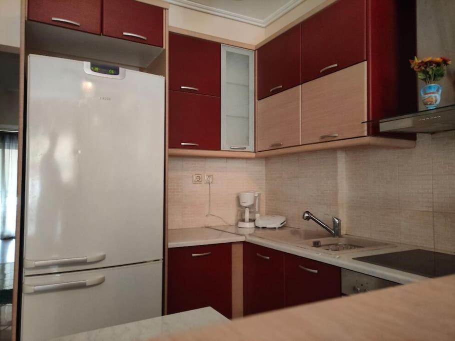 Το Σπίτι Της Περσεφόνης Apartment Атина Екстериор снимка