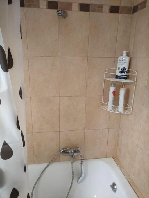 Το Σπίτι Της Περσεφόνης Apartment Атина Екстериор снимка